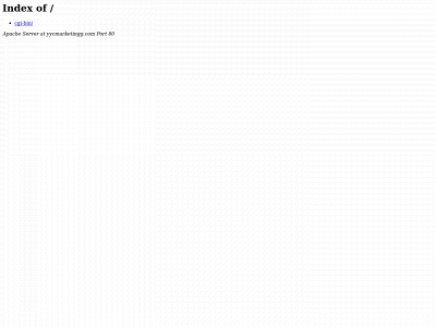 yycmarketingg.com snapshot