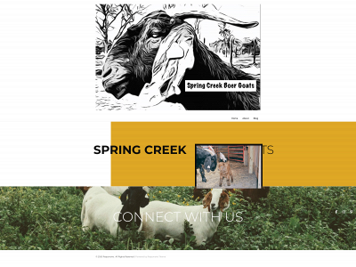 springcreekboergoats.com snapshot