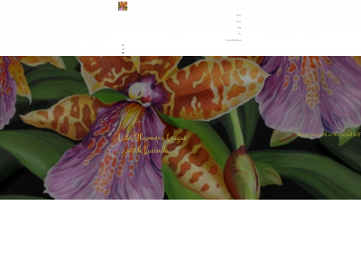 latebloomersleague.org snapshot