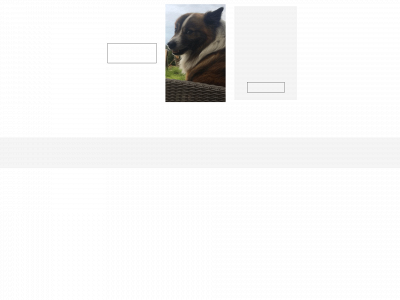 thylejren.com snapshot