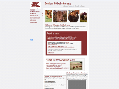 rodkullan.se snapshot