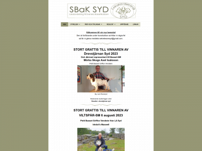 bassetsyd.se snapshot