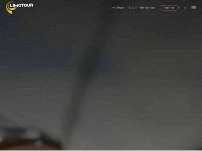 limotour.net snapshot
