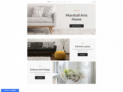 marshallartshome.weebly.com snapshot