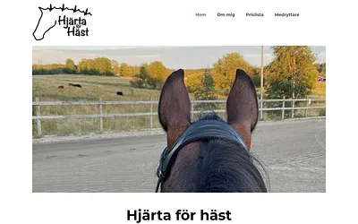 hjartaforhast.se snapshot