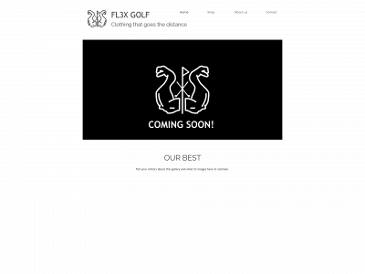 fl3xgolf.co.uk snapshot