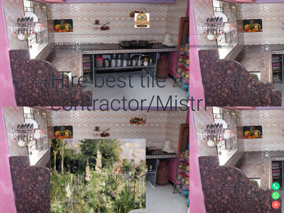 tilecontractors.in snapshot