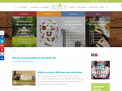 allnaturalhomeandhealth.com snapshot