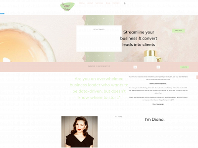 thecrmboutique.com snapshot