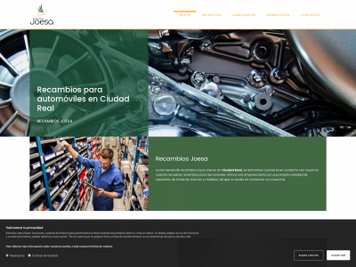 recambiosjoesa.net snapshot