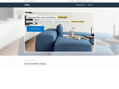 litena.lt snapshot