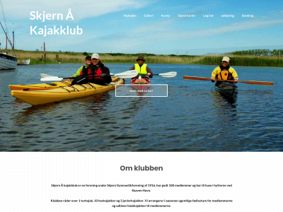 skjernkk.dk snapshot
