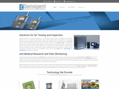 sensigent.com snapshot