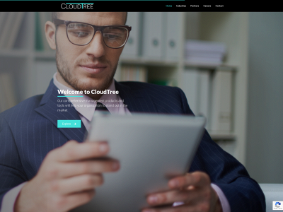 cloudtreeinc.com snapshot