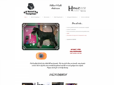 hillezhundar.se snapshot