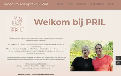 praktijkpril.be snapshot