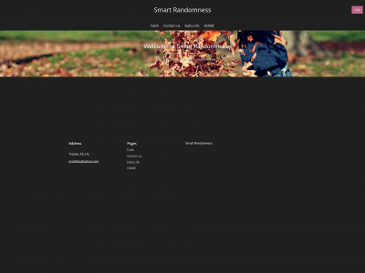 smartrandomness.com snapshot