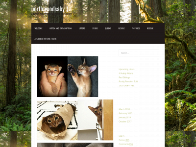 northwoodsaby.com snapshot