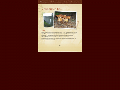 moland.as snapshot
