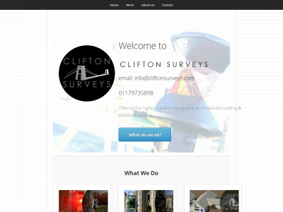 cliftonsurveys.com snapshot