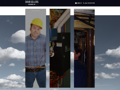 davidsellers.com snapshot