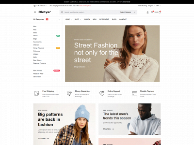 brandsambassy.com snapshot