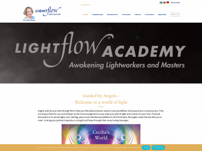 lightflow.info snapshot