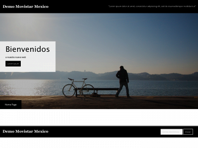 demo-mexico.com snapshot
