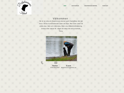 thina.se snapshot