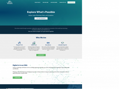 voiantgroup.com snapshot