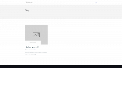 writeksolutions.com snapshot