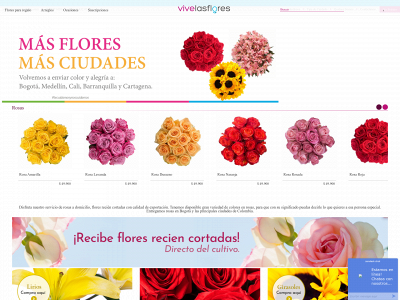 vivelasflores.site snapshot