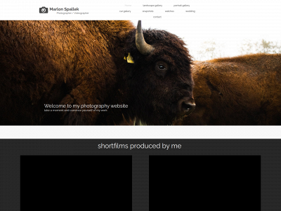 marlonspallek.de snapshot