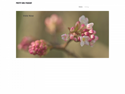 prettygirlpageant.weebly.com snapshot