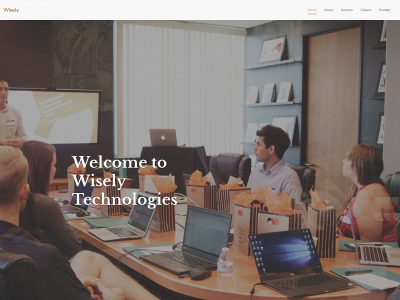 wiselytechnologies.com snapshot