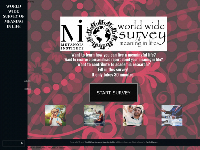 meaningsurvey.com snapshot