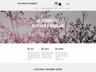 acerhemochtradgard.se snapshot