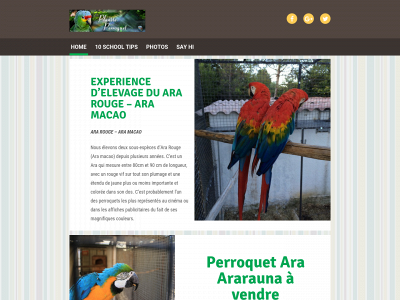 perroquetsara-ararauna.fr snapshot