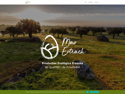 masestrach.com snapshot