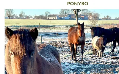 ponybo.dk snapshot