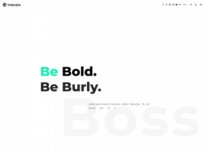brndboss.com snapshot