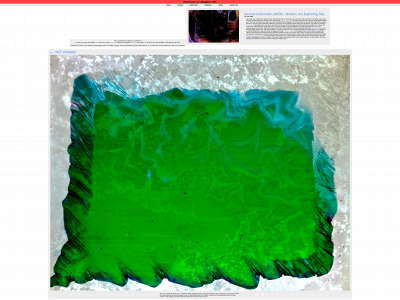 artmonitors.com snapshot