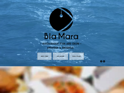biamara.com snapshot
