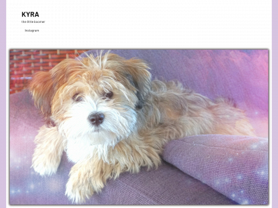 kyra.top snapshot