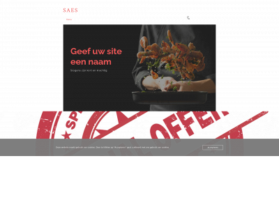psaes.nl snapshot