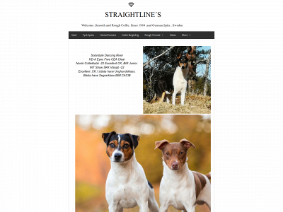 kennelstraightline.se snapshot
