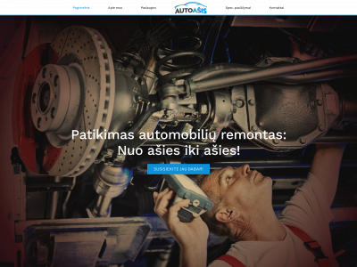 autoasis.lt snapshot