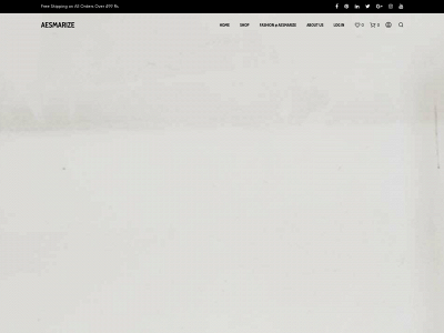 www.aesmarize.com snapshot