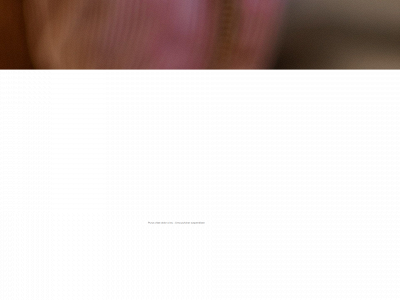 introcentrum.se snapshot