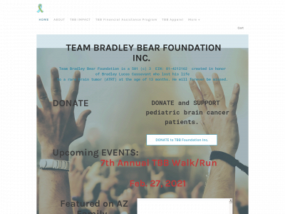 www.teambradleybear.com snapshot